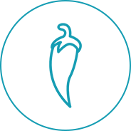 mild dried chilis manufacturers