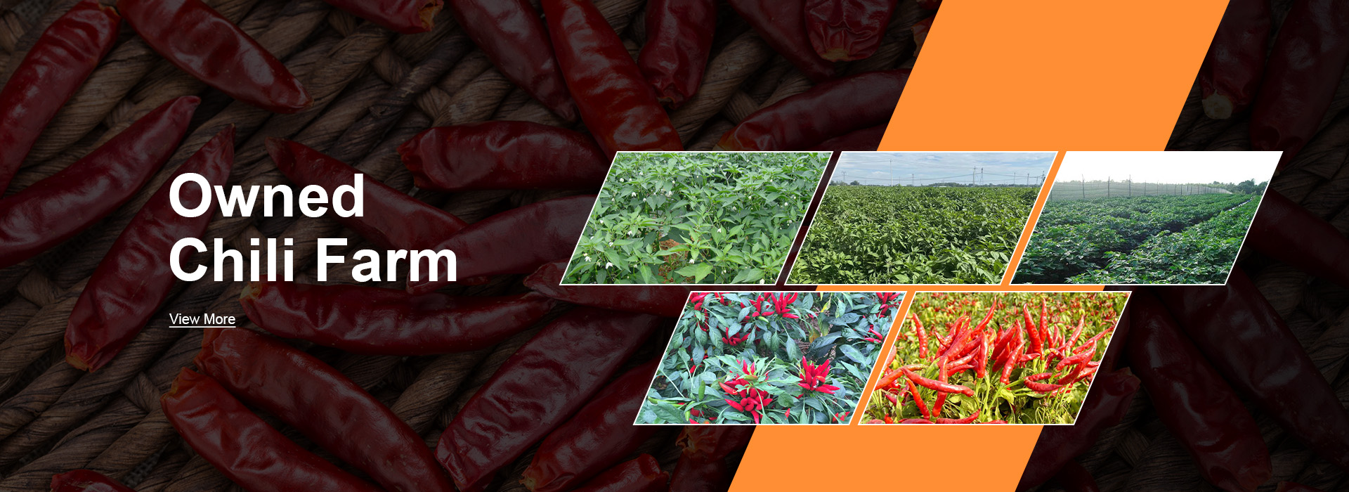 crushed chili pepper flakes exporters