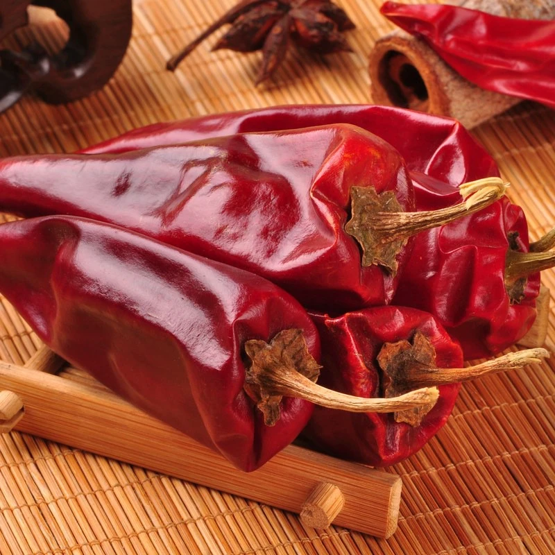 Ignite Your Taste Buds with Fiery Red Pepper Delights