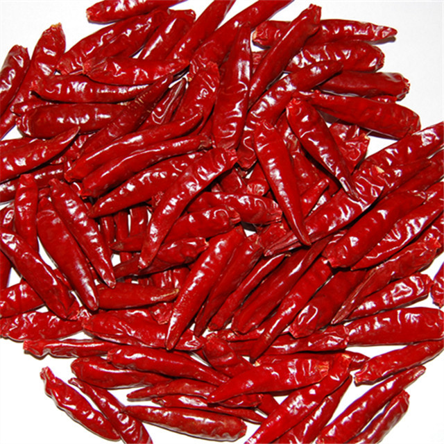 korean chilli threads exporters