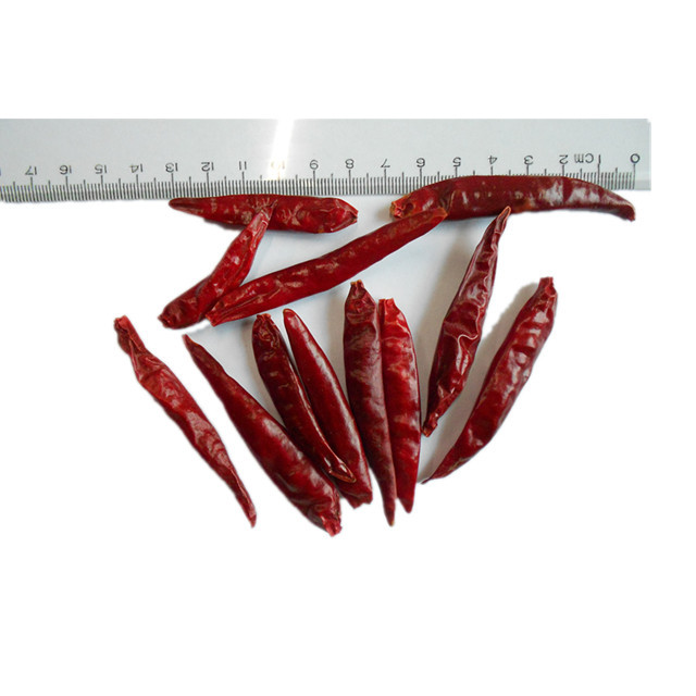 Dried Tianying chili
