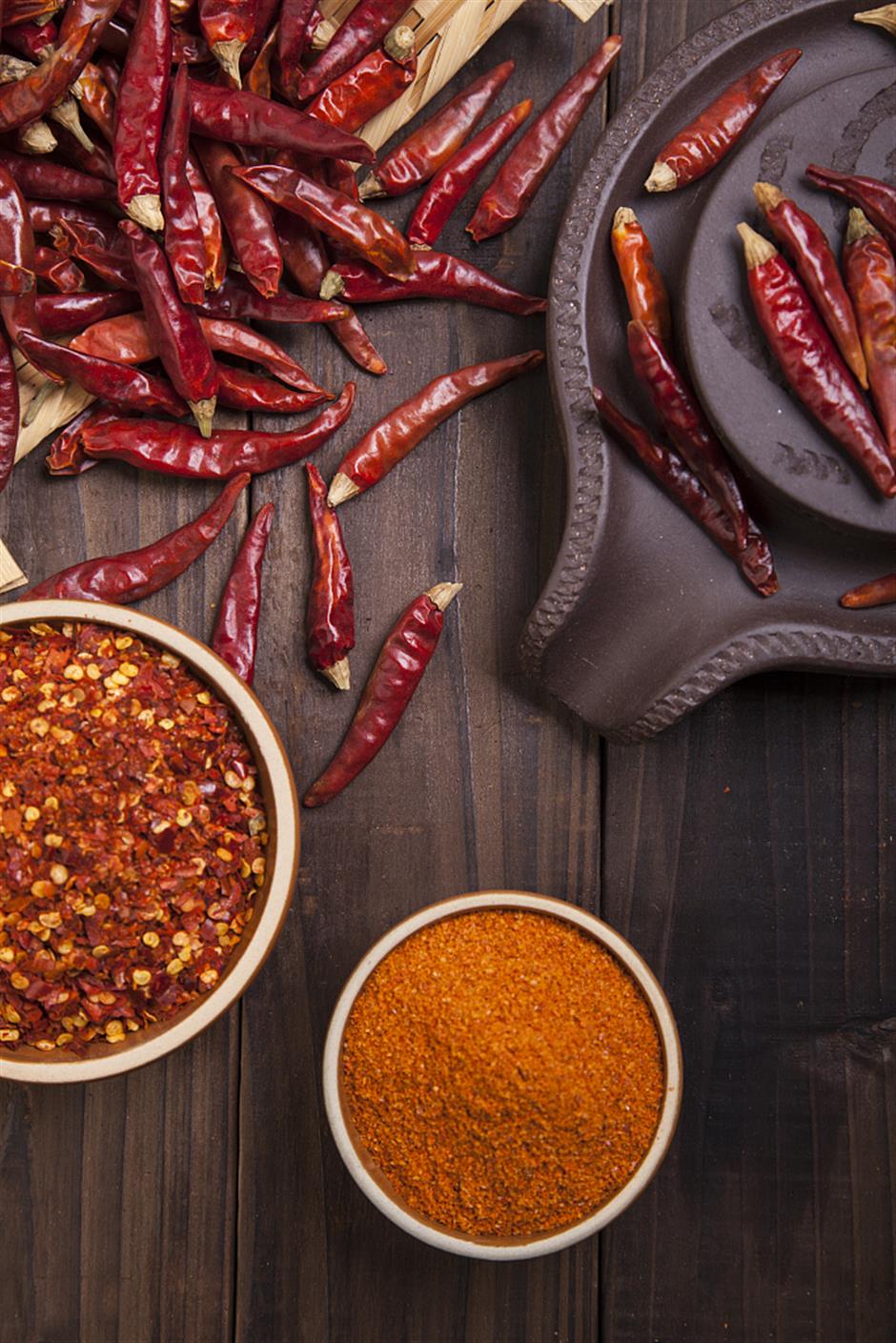 spicy dry red chillies exporter