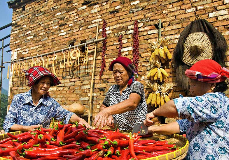 famous chili powder price per kg