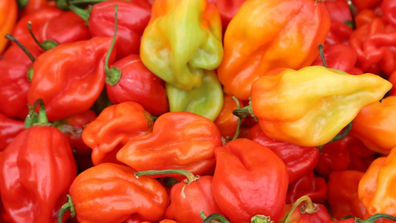 famous hot pepper flakes gochugaru