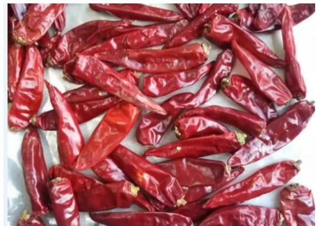 odm paprika pimento