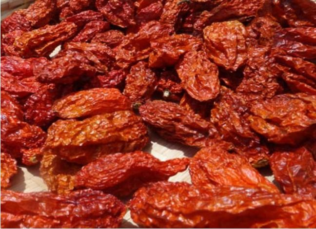 powdered capsicum exporter
