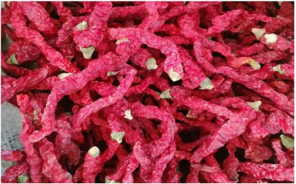 1 kg red chilli powder price pricelist