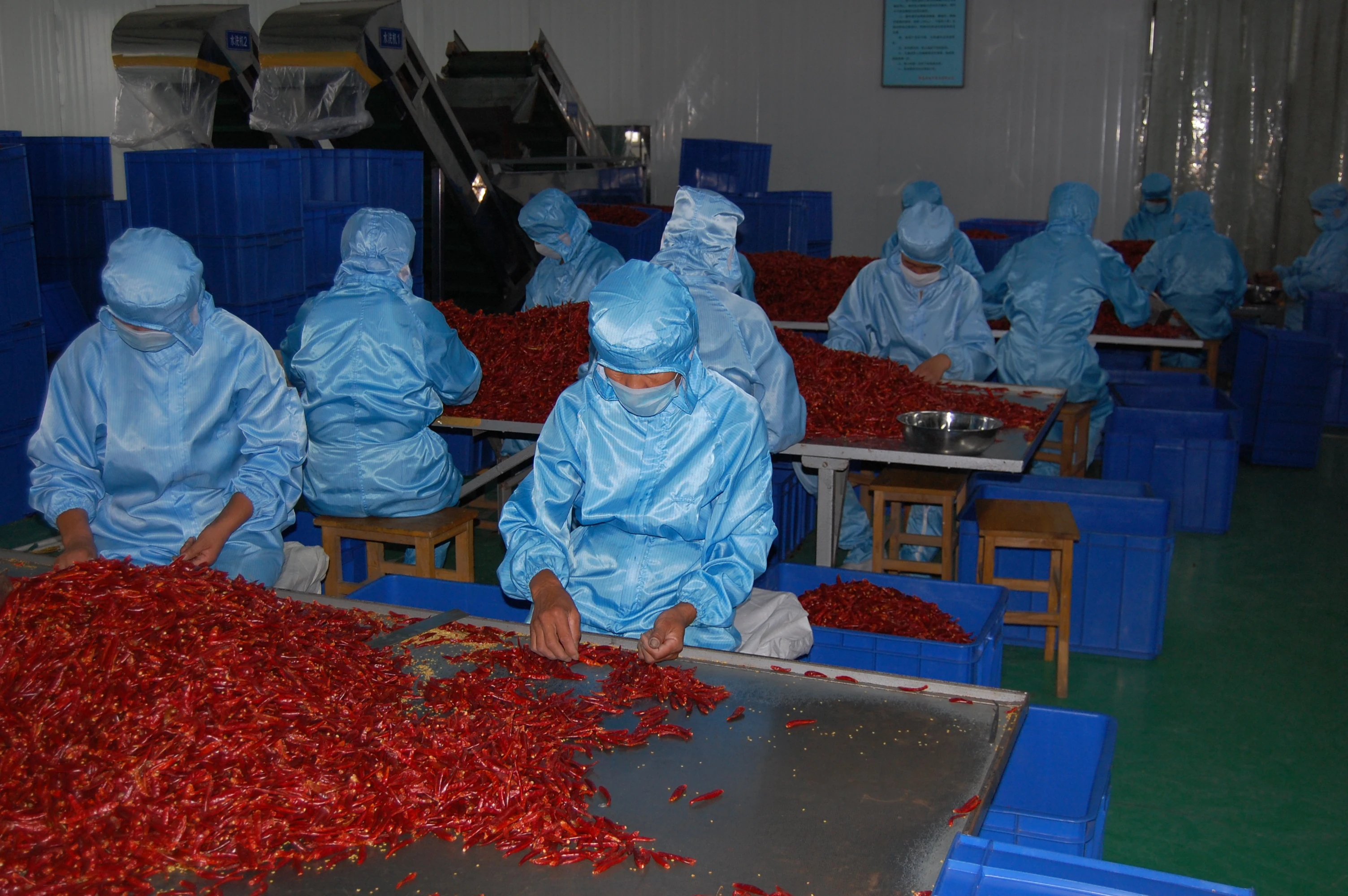 chili flakes and red pepper flakes