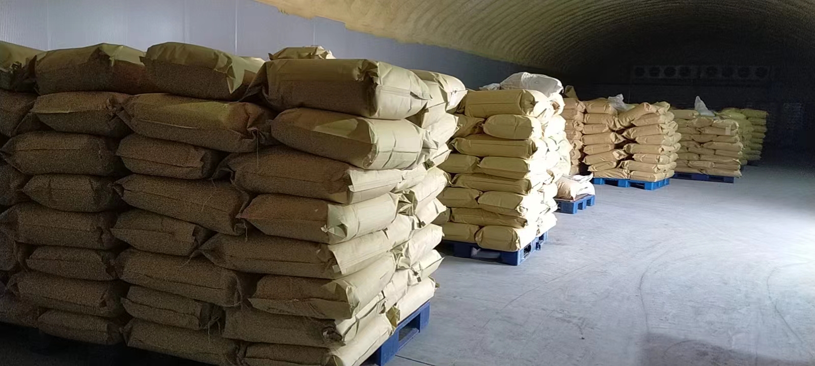 yidu chilli exporters