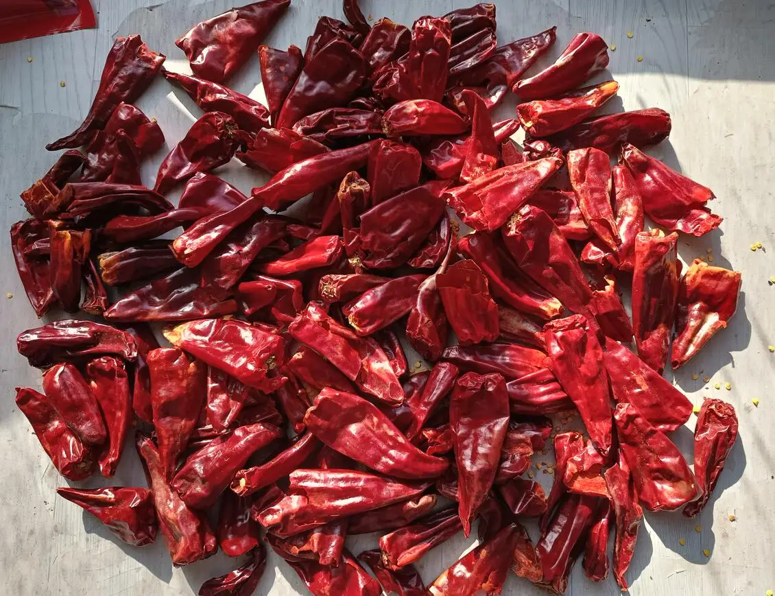 famous dry chilies
